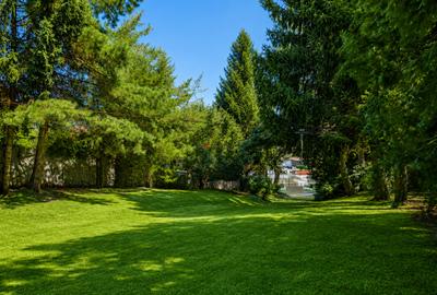 Lakefront Estate | 3.000 mp Teren | Ponton Privat | Snagov - 23