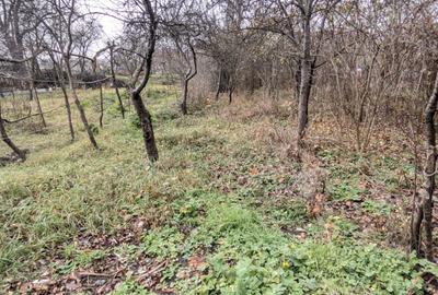 Casă de vânzare, 2 camere, 60 mp, 900 mp teren Dâmbul Rotund zona Dedeman - 17