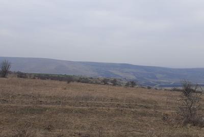 Teren agricol pentru investitii, zona Valea Calda -Iris - 8
