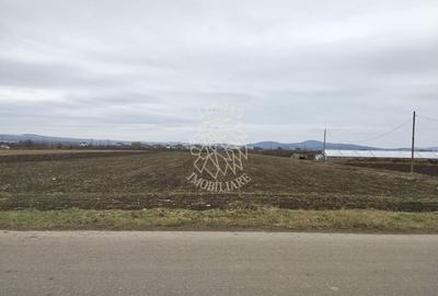 Teren Construcții intravilan de 2500 mp, în Jelna