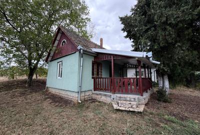 CASĂ DE VACANȚĂ ÎN GRADINA VIILOR CAREI CU 1.924 MP TEREN FRONT 15M - 2