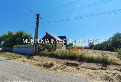 Teren Construcții intravilan de 44050000 mp, în Poiana Lacului