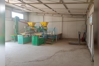 COMISION 0% - MOARA DE VANZARE IN NANESTI - 6