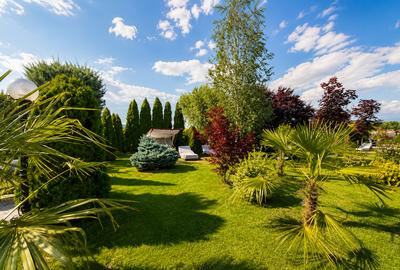Afacere la cheie Brasov-Cazare, evenimente, wellness si agrement - 7