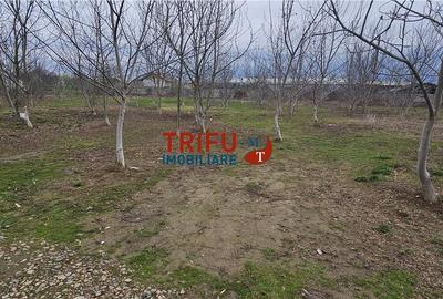 Teren Construcții intravilan de 5500 mp, în Ampoi 1