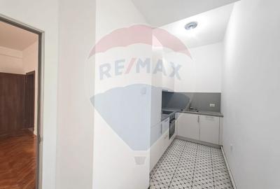 Apartament 3 camere pentru inchiriere - zona Aviatorilor - Primaverii - 6
