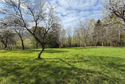 Teren intravilan 1355 mp in zona Bran, judetul Brasov - 7