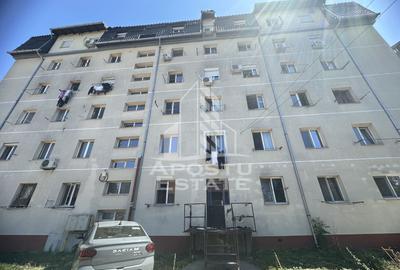 Garsoniera, Bloc izolat, Etaj intermediar, Sagului, Timisoara - 4