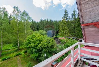 De vanzare casa la munte, Cheia, Prahova, P+2+Pod, 200mp, gradina - 24