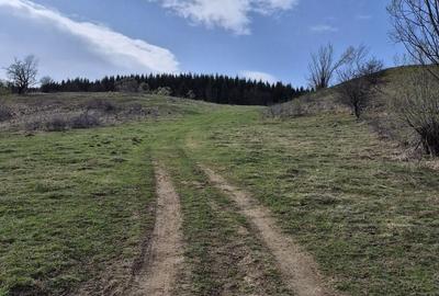 Teren intravilan la baza pădurii Valea Doftanei sat Traisteni (poduri) - 12