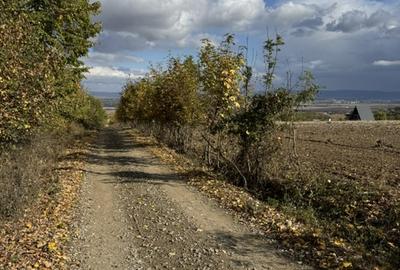 Teren 3692 mp de vanzare, loc. Hemeius-Fantanele, jud. Bacau - 3
