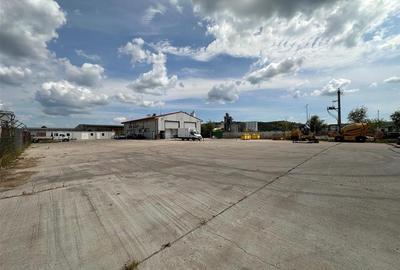 Platforma betonata, de la 550mp la 1250mp, Parc Miroslava, Bratuleni - 10