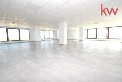 Hale moderne si spatii de birouri de inchiriat, zona aeroportului Craiova - 13