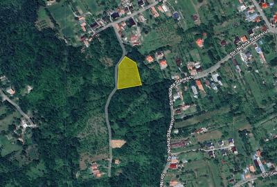 Teren foarte bine pozitionat in Brebu, Prahova - 2