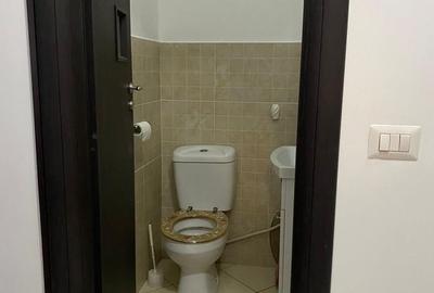 Inchiriere Apartament 4 camere Gorjului-Lujerului - 17