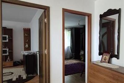Oferta ideala! Casa cu 13.200 mp teren, doua iazuri cu peste si potential de inv - 9