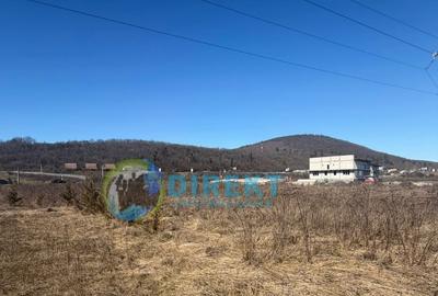 🏭 TEREN INTRAVILAN INDUSTRIAL – SĂRĂȚEL | 9.236 MP - 6