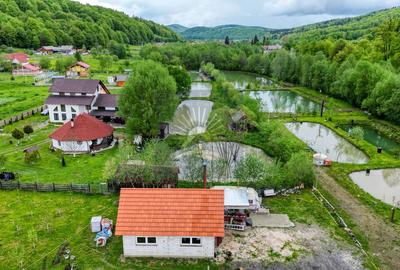 Teren de 2.300 mp în satul Buzăiel, Vama Buzăului - 14