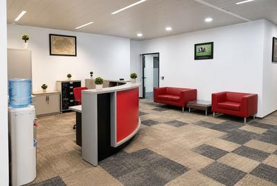 One Herastrau Office (Office 1) - 3