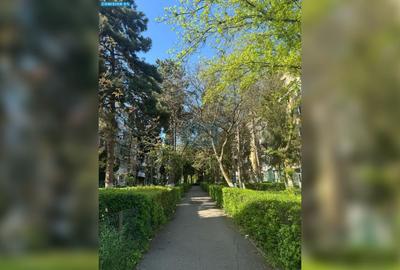 Apartament cu 3 camere semidecomandat în Gheorgheni