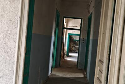 VANZARE CASE VILE GRADINA ICOANEI - 2