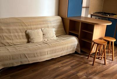 Ultracentral De inchiriat apartament 2 camere in vila pe Blv Schitu Magureanu - 3