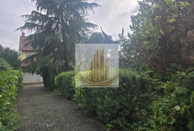 Vila exclusivista in Timisoara zona Centrala 950.000 Euro - 2