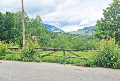 Teren de 1000mp in Bran, satul pitoresc Pestera - 11
