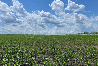 Teren agricol extravilan de 15900 mp, în Miroslava