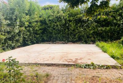 Oaza de liniste si verdeata, aproape de Km 0 -  Brestei, zona Obedeanu - 7