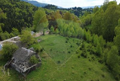 Teren 38,704mp Sirnea | 2.000 mp Intravilan | 36,704 Extravilan - 9