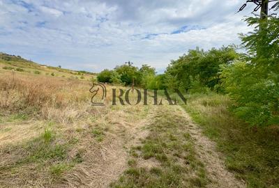 Teren 4.000 mp | Front Generos 47 ml | Utilități | La Asfalt | Cricău - 6