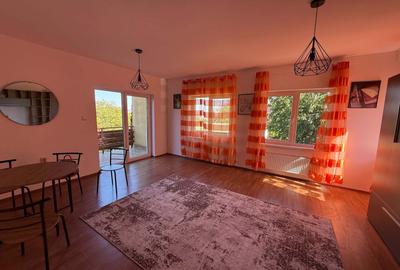 Vila de inchiriat-Andrei Muresanu - 9