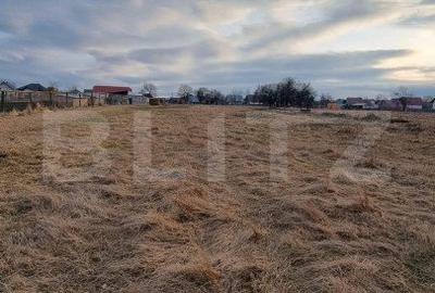 Teren Construcții intravilan de 6133 mp, în Horodnic