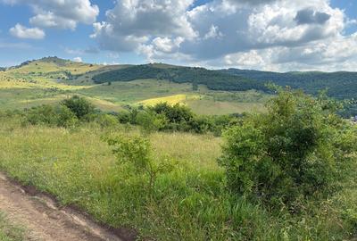 Vand teren in localitatea Salicea extravilan 974 MP - 1