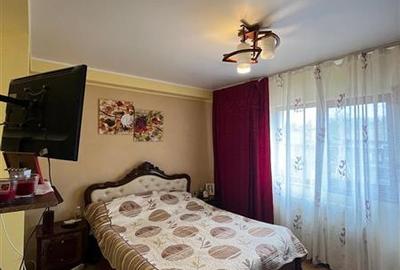 Vila superba Oancea DN teren1171mp - 12
