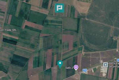 Teren agricol extravilan de 7915 mp, în Horia