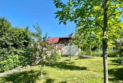 Vila de lux 310 mp construiti, cu piscina 40mp, Bucium Iasi, 1500mp teren, garaj foisor livada - 3