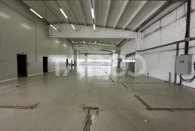 Hala industriala de inchiriat cu acces tir curte privata in Selimbar - 6