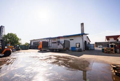 Vânzare Complex industrial  – 3.037 mp teren, 4 hale - 1400 mp Beiuș - 21