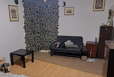 Studio in Sinaia, zona de Sud - 11