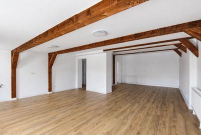 Vilă impunătoare, renovată | Sibiu | 12 camere | 600 mp teren - 20