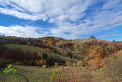 Teren agricol extravilan de 11600 mp, în Poiana Mărului