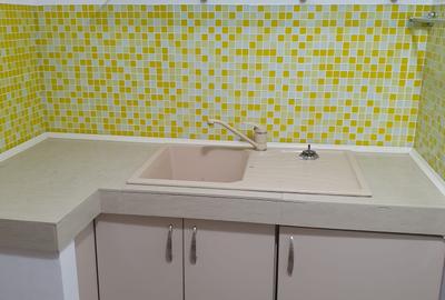 13 Septembrie Petre Ispirescu 2 camere de inchiriat 400 euro - 4