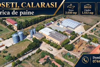 Fabrica de paine cu linie completa de productie, Roseti - Calarasi - 1