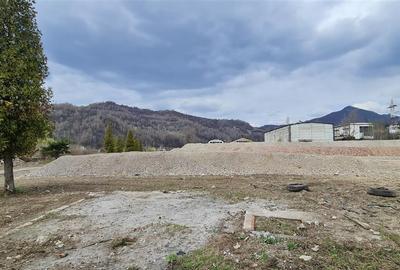 Vanzare Teren 1,7HA centru Petrosani - 6