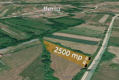 Teren în Beriu