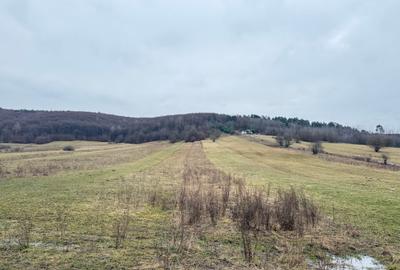 Teren extravilan 1500 mp de vânzare în Teliu – zonă liniștită - 2