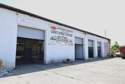 Hală industrială 1.168 mp | Adjud | Producție • Service • Logistică - 11