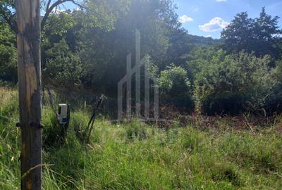 Teren în Fântânele – 3.673 mp, pârâu si cadru natural  deosebit - 8